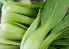 植物冠層分析儀如何助力農(nóng)業(yè)研究？
